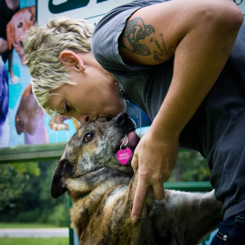 FosterFit may help the Humane Society free up space in its shelter, says HSGS director of operations Guinn Friedman. - JON WAITS/@JWAITSPHOTO