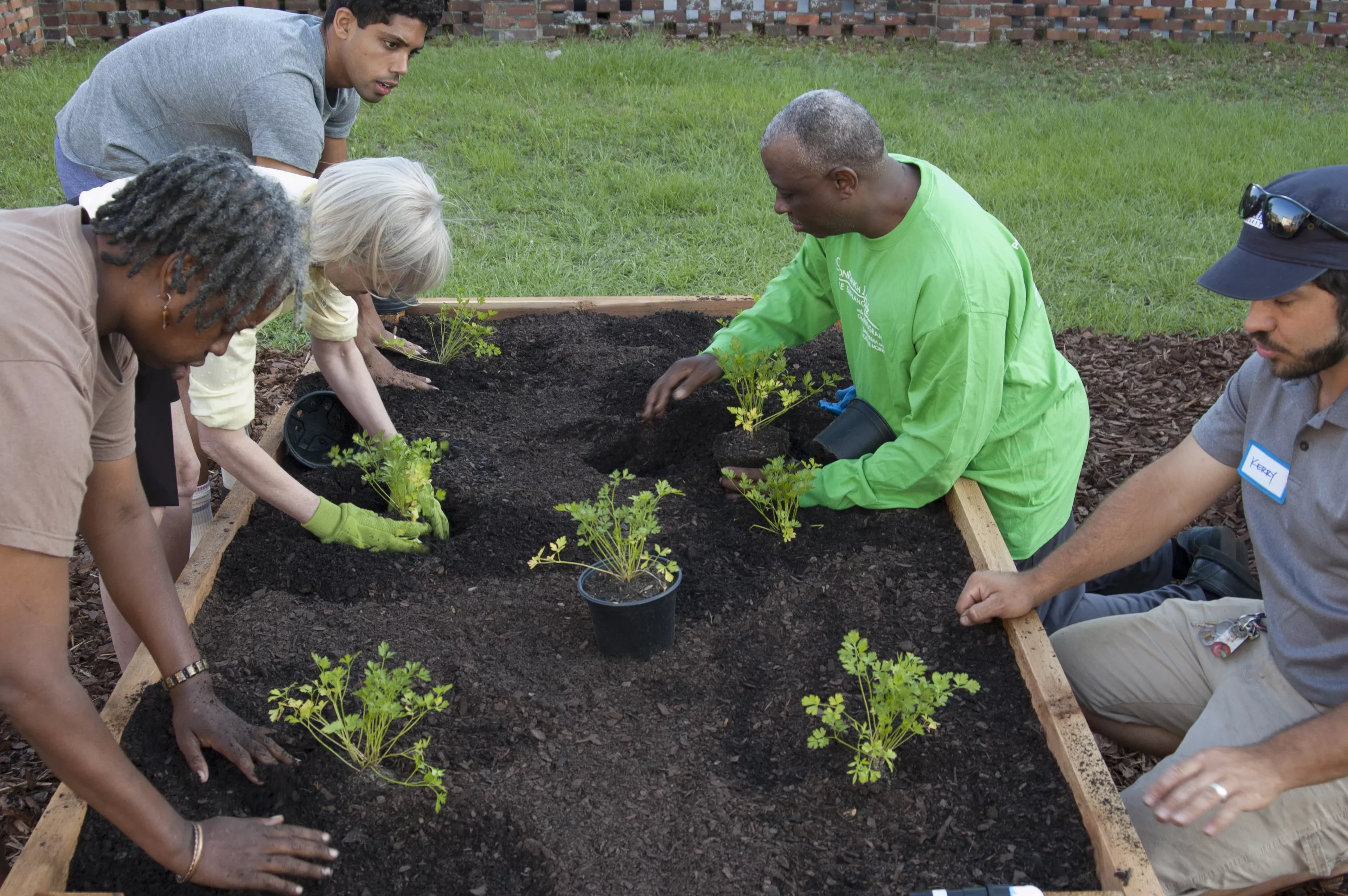 Planting in raised beds is an excellent way to control soil quality and plant growth. Left to right: Lisa Reid, Savannah resident and participant in the CRI Life Enhancement Program at Curtis V. Cooper Primary Health Care, Inc. (CVCPHC); Renea Steverson, Savannah resident; Palmer Steverson, Fitness Core Team Member for CRI Life Enhancement Program at CVCPHC; Joseph Washington Jr., M.D., of CVCPHC; and Kerry Shay of Victory Gardens.