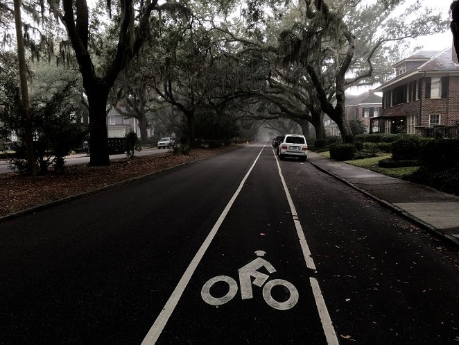 news_cycle--bike-lane.jpg