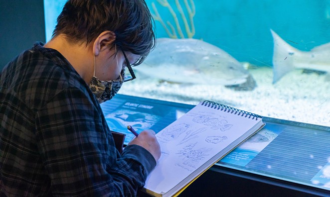Underwater exhibition at the UGA Aquarium explores the intersection of art, science and coastal conservation