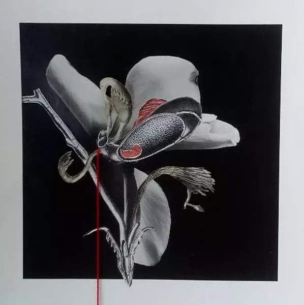 Axelle Kieffer, "Not Pregnant."