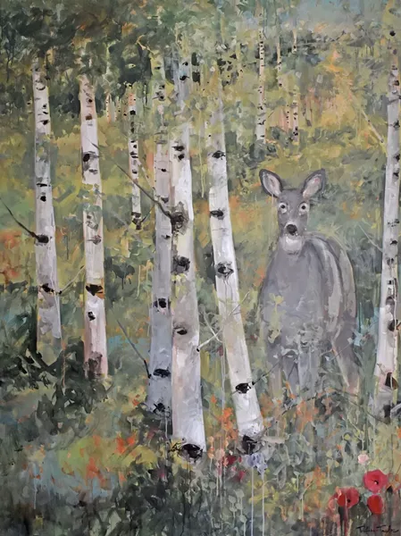 Doe In Aspen Tree Grove, Wyoming.