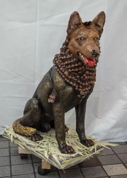 dog1-3.jpg