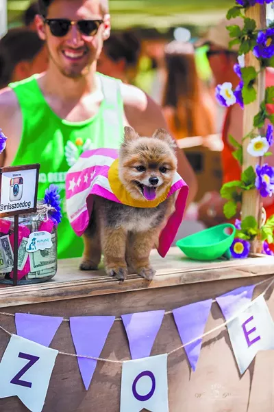 doggiecarnival-wildflower2-34.jpg