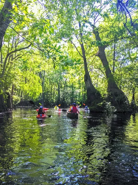 Ebenezer Creek