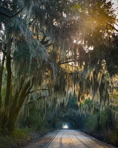 “Dorchester Village Road.” - PHOTO BY GEOFF L. JOHNSON