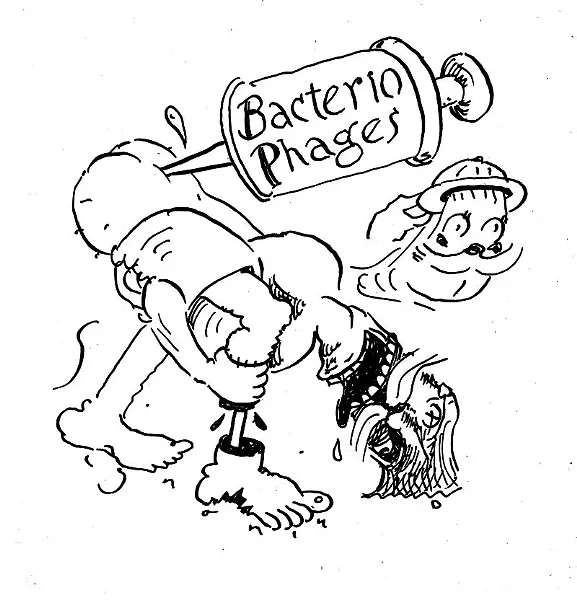 dope_180309_phages.jpg