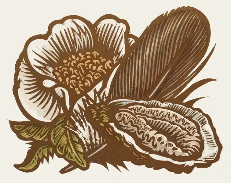 mazorra_georgia_oyster_feather_flower_2_.jpg