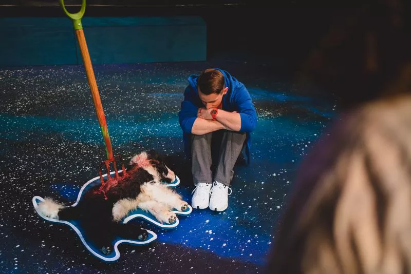 curious_incident-5.jpg