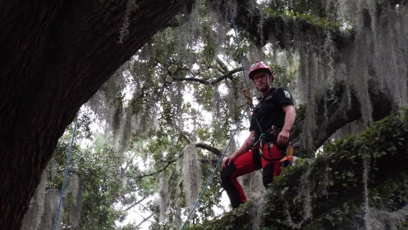 Karen Jenkins of the Savannah Tree Foundation advocates for our world-renowned urban forest.