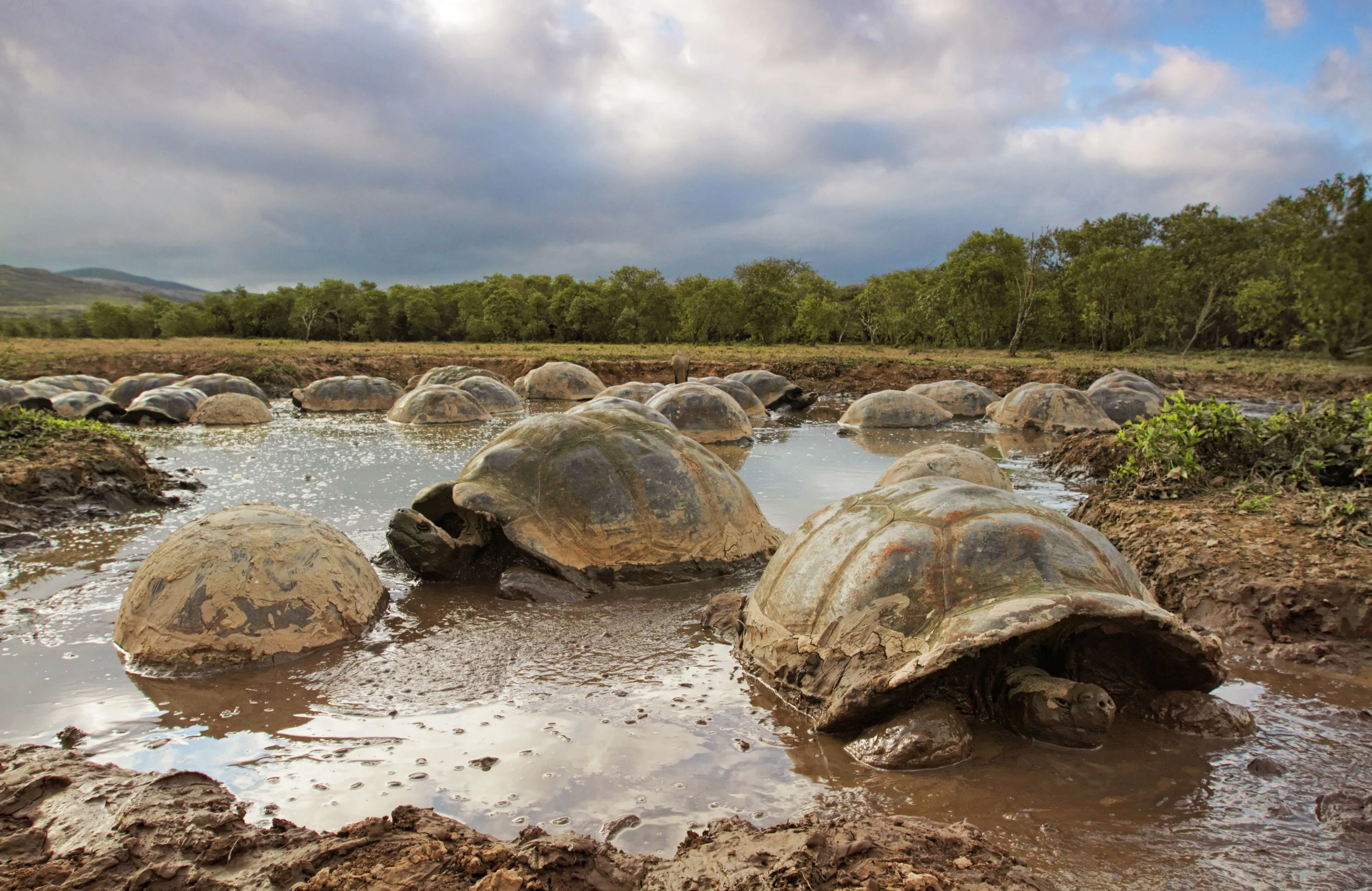 Gray S Reef Film Fest Galapagos 3d Is Part Of Expanded 3d Lineup
