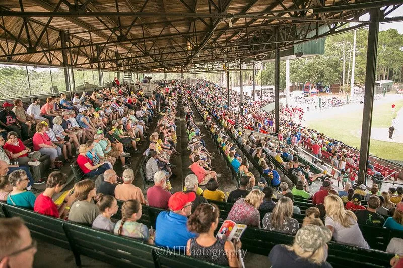bananas-attendancerecordcrowd.jpg