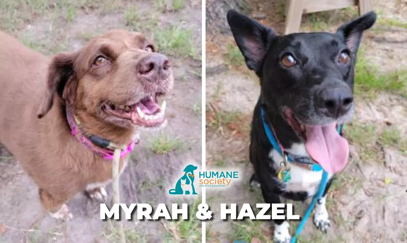 PETS OF THE WEEK - Vimarsana News