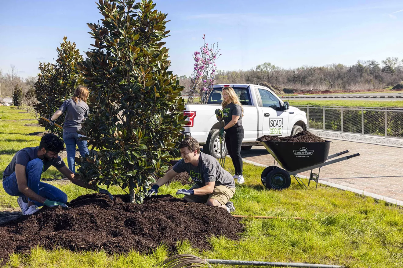 SCAD addresses the problem of tree inequity from the root - Vimarsana News