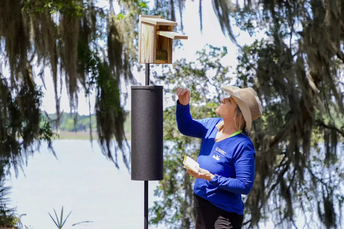 COMMUNITY SCIENCE IS FOR THE BIRDS: UGA Aquarium volunteers monitor nest boxes on the coast - Vimarsana News