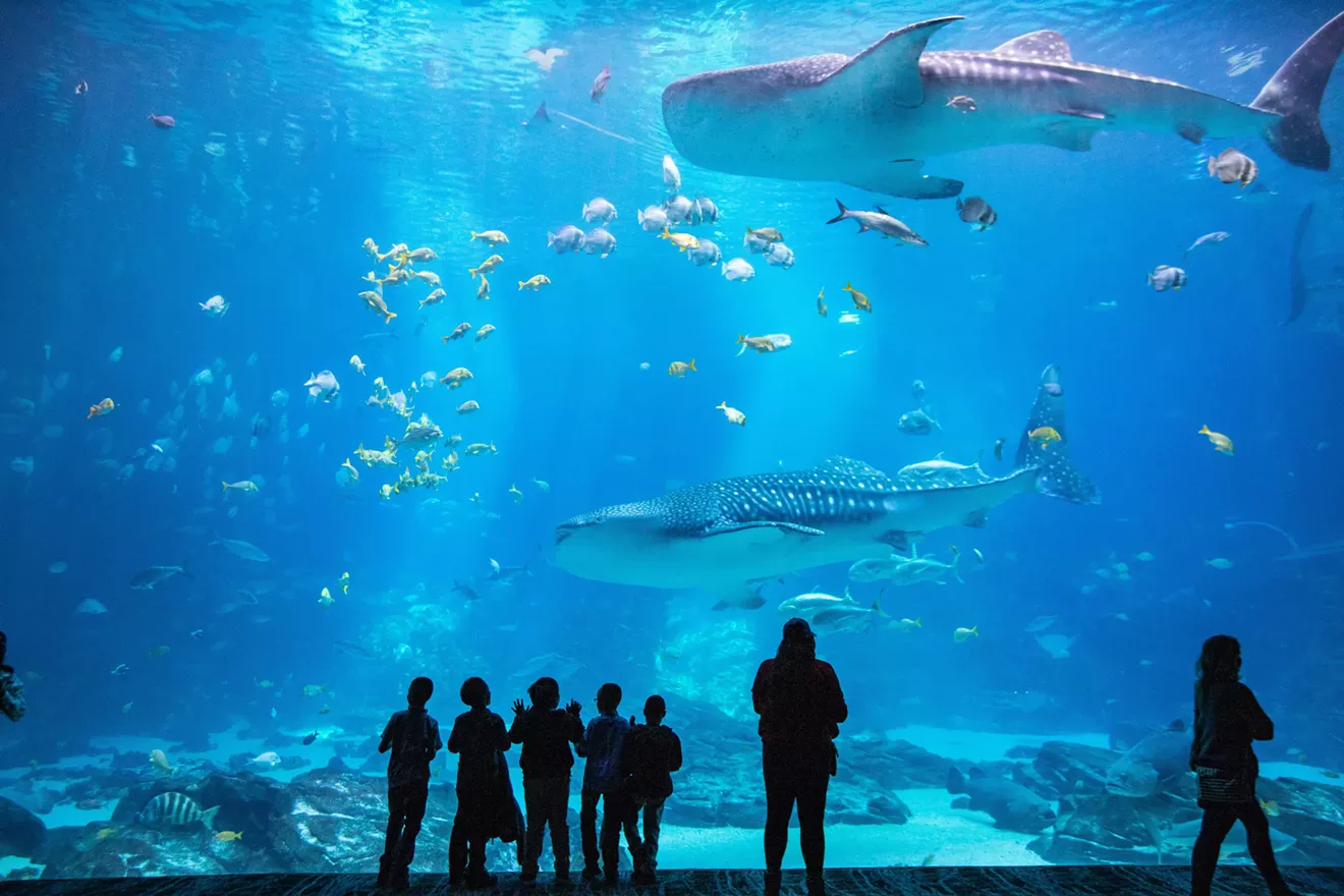 CHECK OUT YOUR NEXT ADVENTURE: Local libraries offer passes to parks and museums - Vimarsana News
