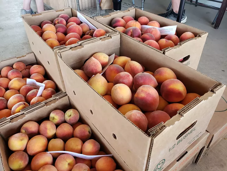 The Time is Ripe for Peaches (and Love?) at Ham Orchard