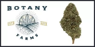 cbd-benefit-bontany-400x200.jpg