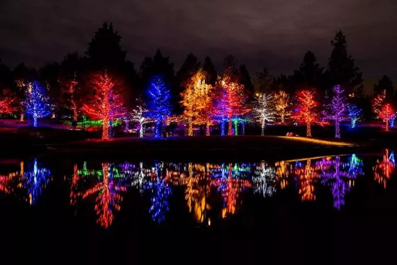 Best Things To Do In Dallas Nov 24 Dec 1 Dallas Observer Dallas Observer