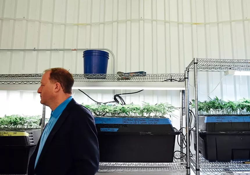 Governor Jared Polis will have to navigate new challenges for Colorado if Congress legalizes cannabis. - KENZIE BRUCE