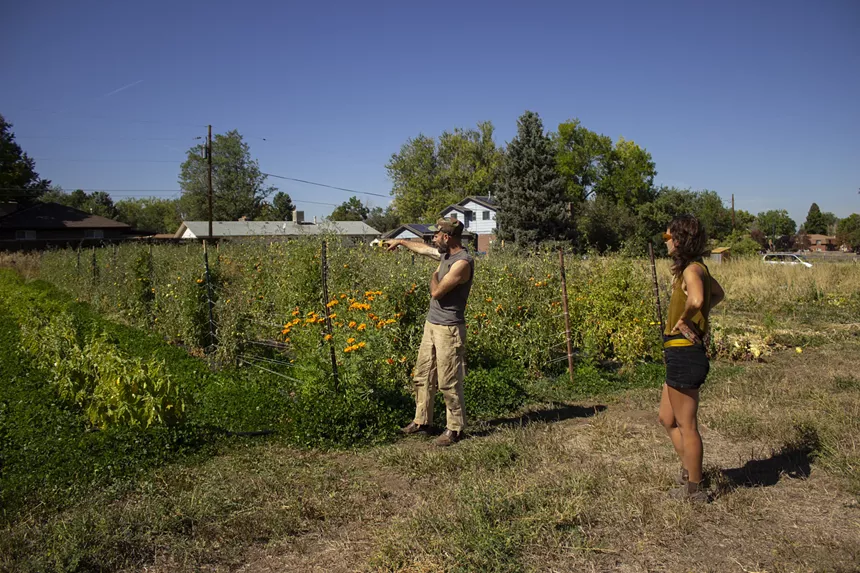 They plan to expand the farm to a full three acres next year and double the size of their CSA. - CLAIRE DUNCOMBE