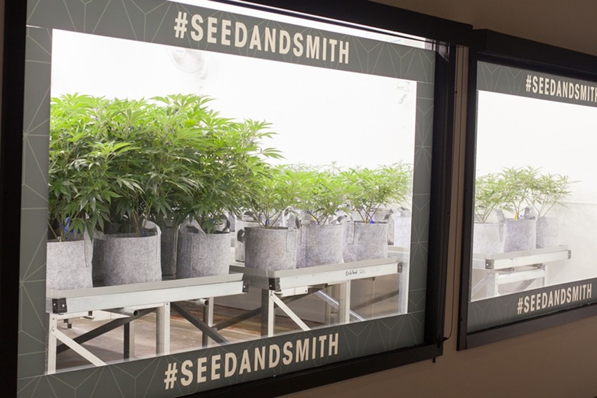 Denver dispensary Seed & Smith wants to take you behind the curtain. - JACQUELINE COLLINS
