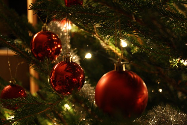 Oh, Christmas Tree | Holiday Guide | Oakland, Berkeley & Bay Area