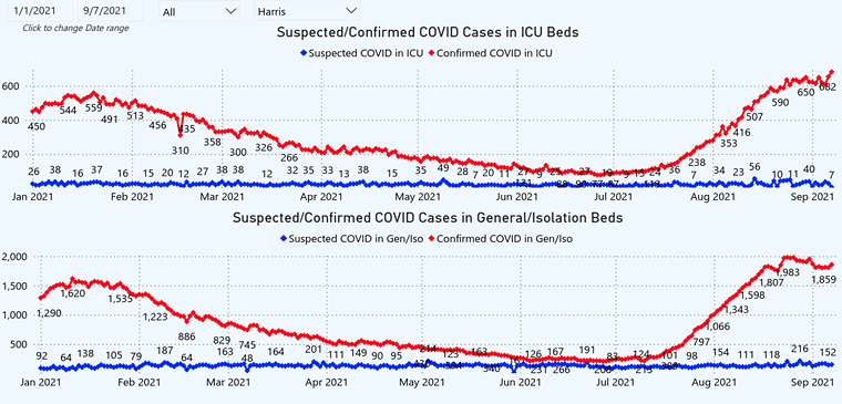 Harris County COVID hospitalizations remain high, but Harris County Judge Hidalgo says they may be nearing a local peak. - SCREENSHOT