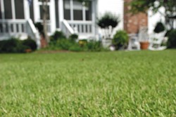 Benefits of fall core aeration for the lawn