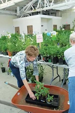Springfield Civic Garden Club volunteer Alice Nelle at the 2016 Garden Palooza. - PHOTO BY JENNIFER JUSTIN
