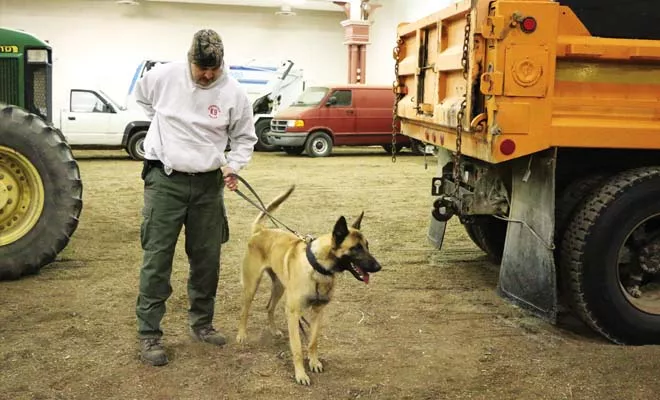Springfield patrol officer Dave Pletsch prepares for a training search with his dog, Utah, in a building on the Illinois State Fair Grounds. - PHOTO BY PATRICK YEAGLE