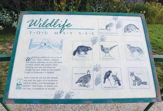 Visitors to Jim Edgar Panther Creek, 25 miles northwest of Springfield, may spot a variety of wildlife. Wildflowers also are abundant. - PHOTO BY BRENT BOHLEN