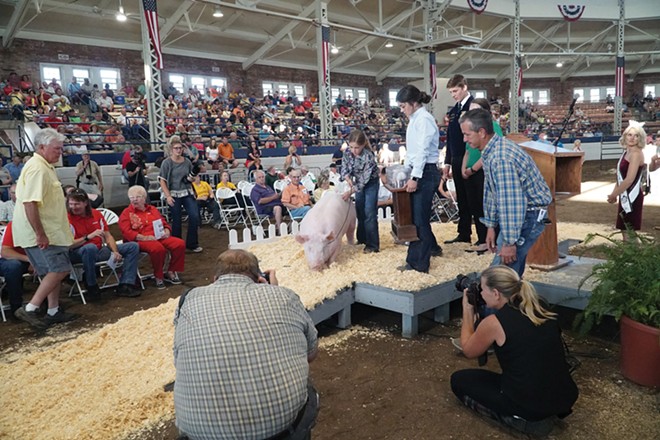 Animal exhibitions will return to the fair this year. In 2020, 4-H held virtual animal showings after the Illinois and - Du Quoin State Fair were both canceled. - PHOTO BY LEE MILNER, 2019