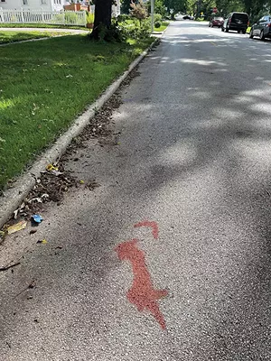 Blood spatter marks the spot where the SUV slowed, and Rosie dropped out of the wheel well. The stop sign visible in the distance is the intersection where we were hit. - COURTESY DUSTY RHODES