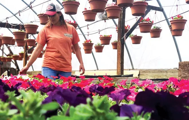 Anya Irons, of Minonk, walks through one of her nine greenhouses at Ioerger Family Farms. Raised in a Russian orphanage until she was 15, Irons was adopted by the Ioerger family in 2003 and since then she has grown the family’s flower and produce operation to 15 acres. - PHOTO BY TAMMIE SLOUP OF FARMWEEK