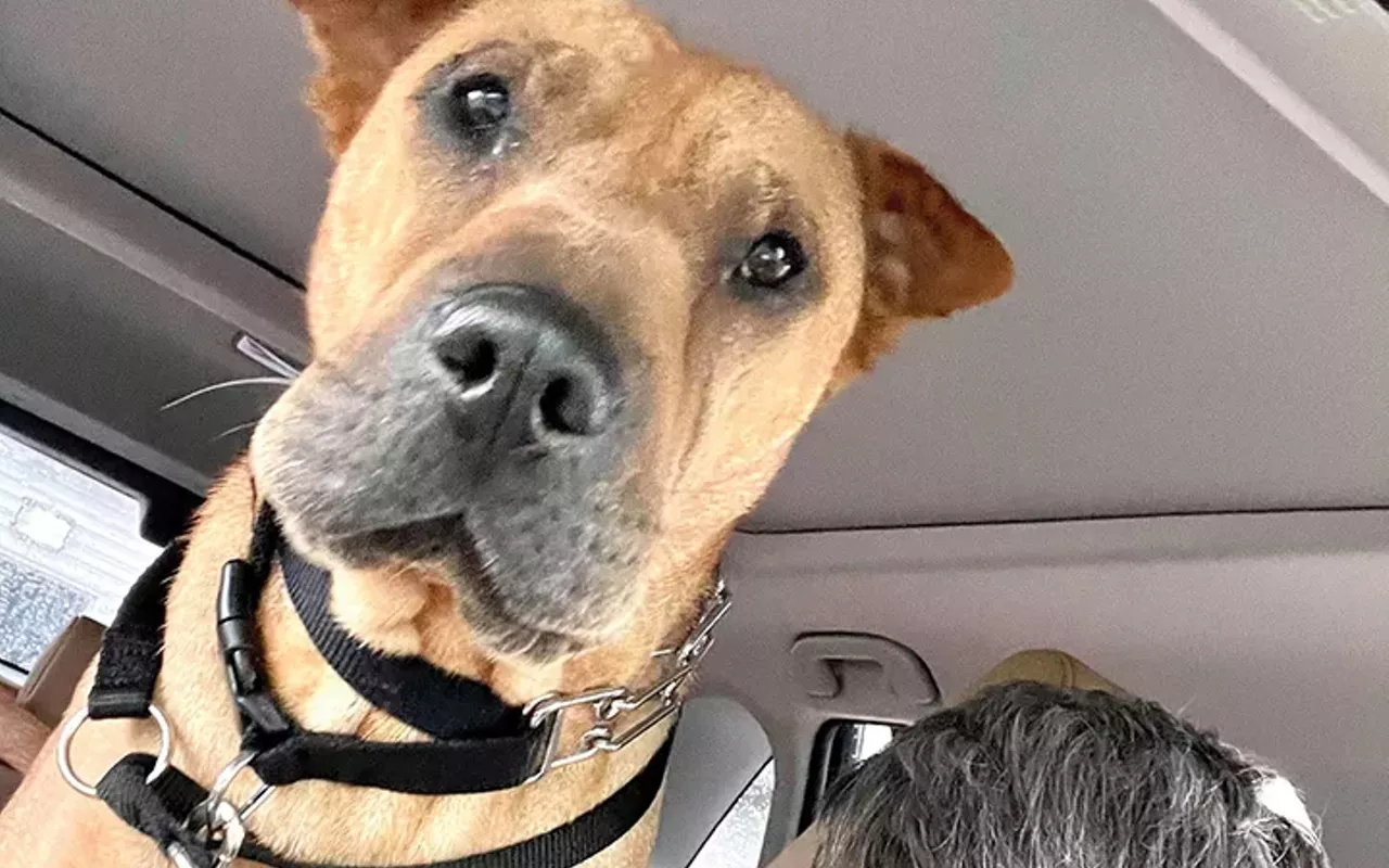 Dusty Rhodes with Rosie, the dog she called her best friend.