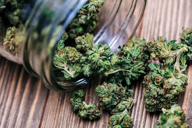 Cannabis conundrums - Vimarsana News