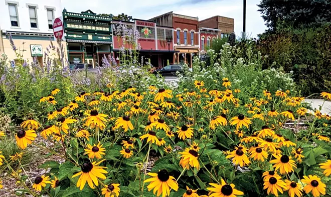 Making monarchs more sustainable - Vimarsana News