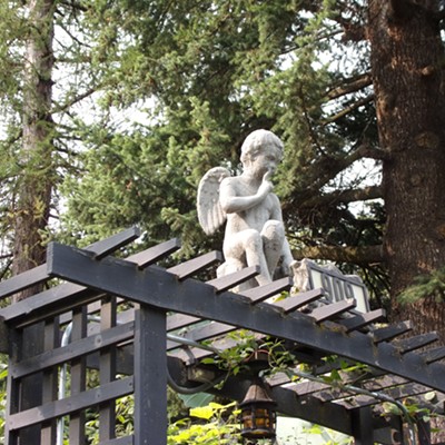 angel on gate near East City Park shot today by Chris Dopke