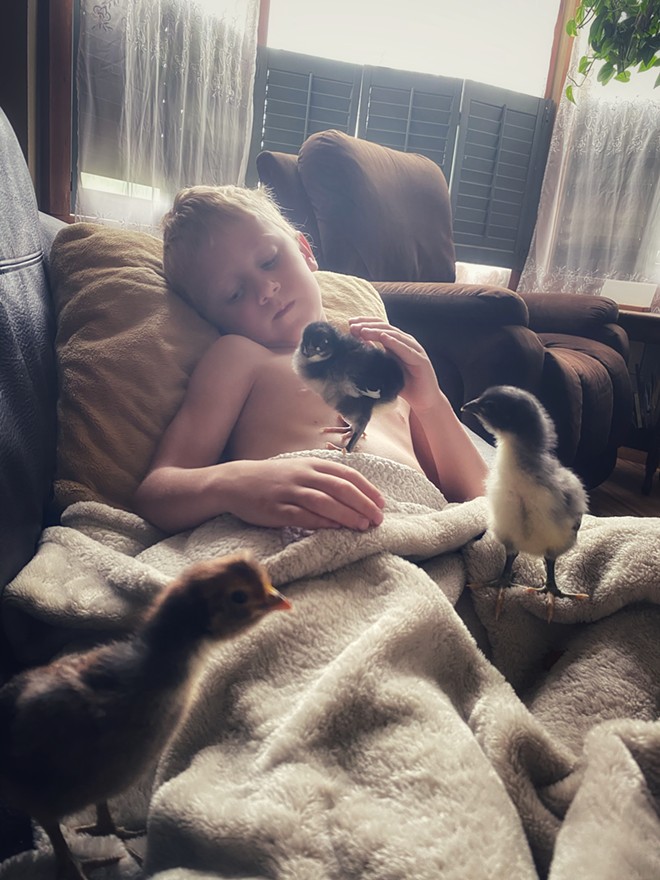 A boy and his lap chickens