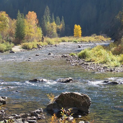 Fall foliage flanks the banks of Kelly Creek, on the North Fork Ranger District. Le Ann Wilson of Orofino took the picture on October 16.
