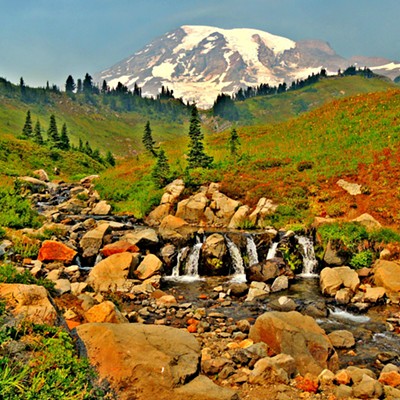This photo was taken by Leif Hoffmann at Paradise, Mt. Rainier, on the trail to Myrtle Falls on Labor Day, 2017.