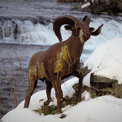 Mary Hayward of Clarkston captured this art ram at waters edge of the Spokane Falls on Dec. 31, 2016.
