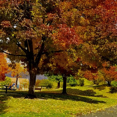 This picture of the gorgeous fall colors, was taken at Syringa Park in the Lewiston Elk’s addition on 10/25/22.
