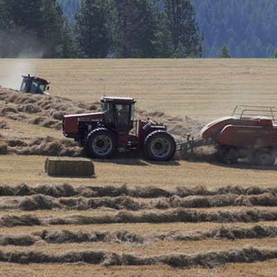 A big baling operation seen south of Spokane July 18, 2016. Photo&nbsp;by Mary Hayward of Clarkston.