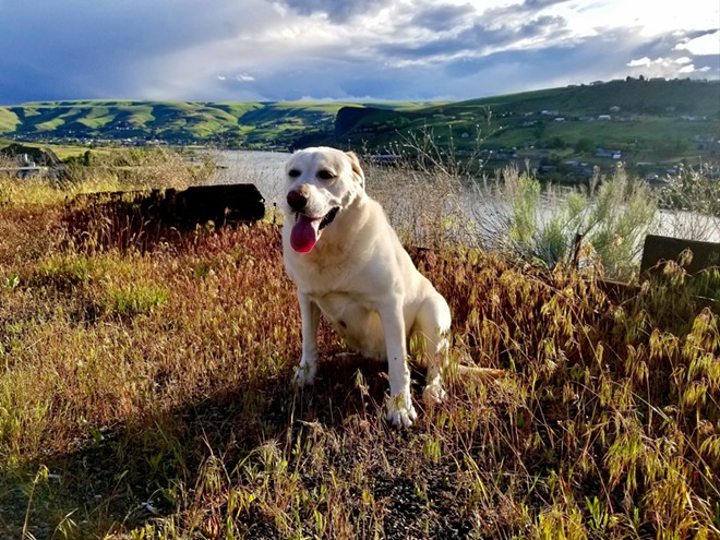 Beautiful backdrop for Lola