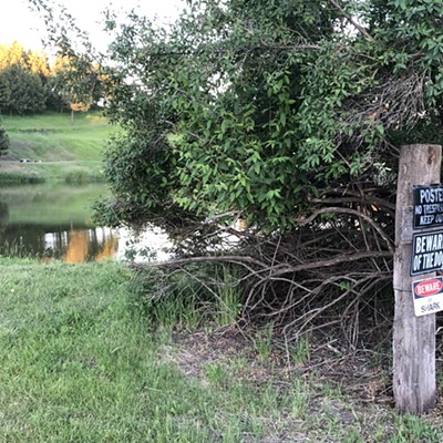 Neighbors with a sense of humor have three signs next to their pond: No Trespassing, Beware of Dog, and Beware of Shark near their pond on Brood Road. Taken by Karen Purtee on June 16, 2021.