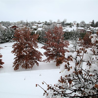 View of Lawson Gardens with coat of white snow as seen from Derby Street in Pullman, Washington. Photo taken by Keith Collins on February 13, 2019.