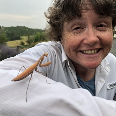 Charlene Purtee introduces her new pet - a walking stick who turned his head toward the camera when I said "Smile". Photo taken August 24, 2020 by Karen Purtee in their yard on Brood Road, east of Moscow, Idaho.
