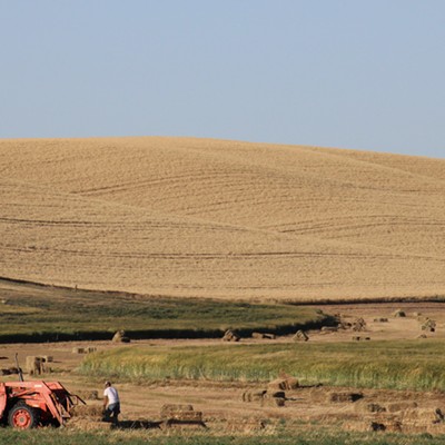A man working in a field with a red tractor, surrounded by hay bales.